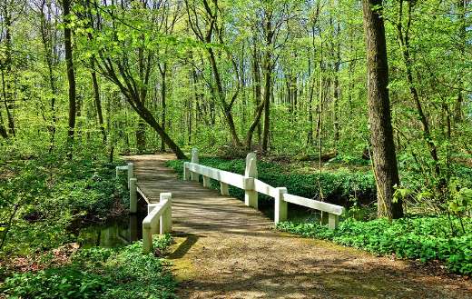 Foot bridge puzzle