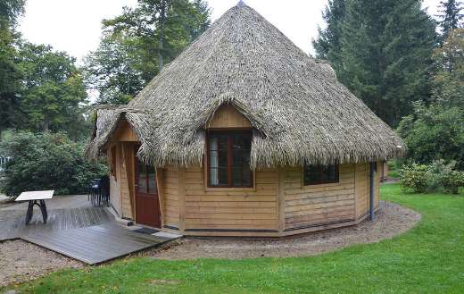 Small cabin online