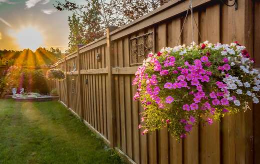 Hanging flower on walls