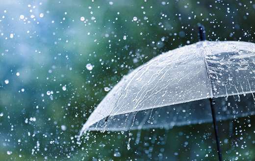 Transparent umbrella puzzle