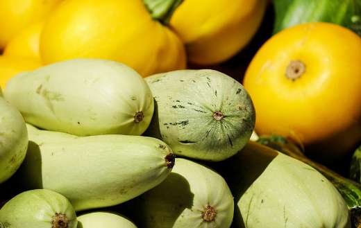 Fresh green yellow zucchinis
