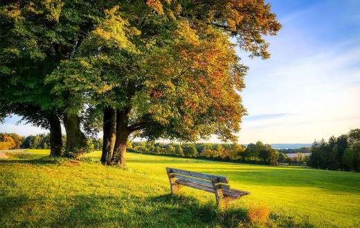 Autumn fall season nature outdoors