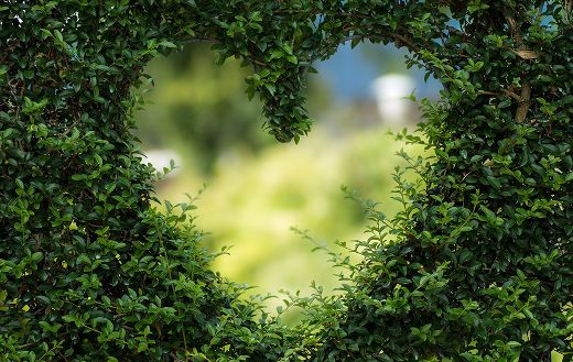 Love heart online