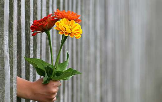 Bouquet in hand puzzle
