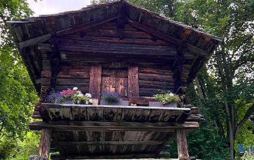 Small cabin online