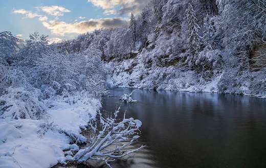 Lake forest winter time image