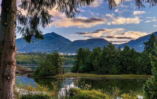 Super green nature