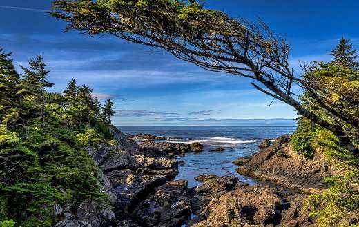 Sea coast landscape