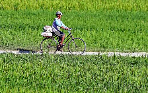 Man cycling pathway