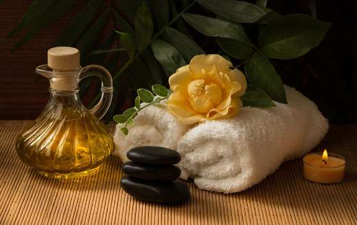 Wellness 1 online