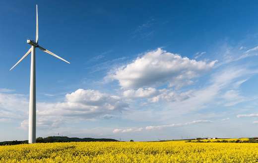 Pinwheels wind power energy in field