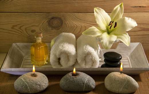 Still life wellness 8 online
