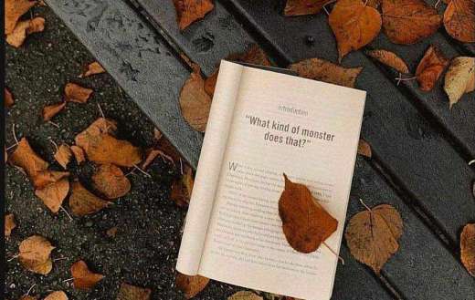 Autumn cozziness
