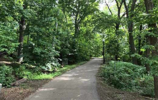 Green nature like