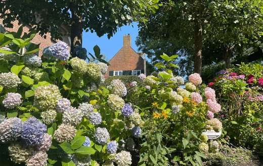 Unique flower landscape