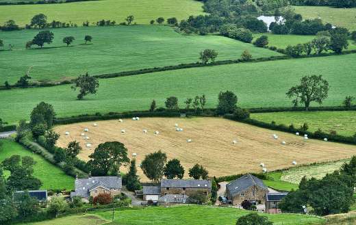 Agriculture farming