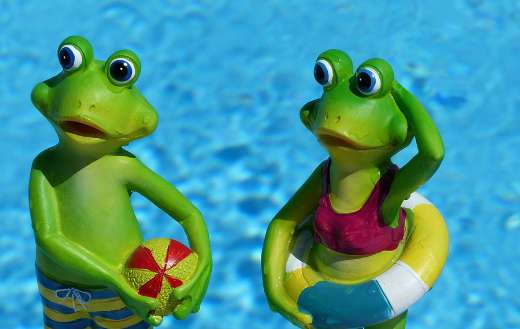 Froggies into bath