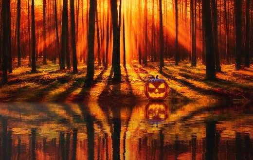 Halloween lake forest