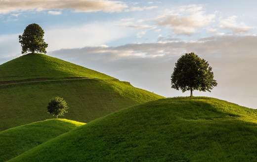 Three mountains with one tree each