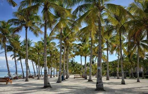 Bohol nature resort